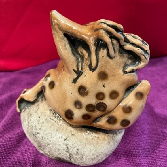 Crazy Day! Frog on a Rock! - Picture 7 of 9